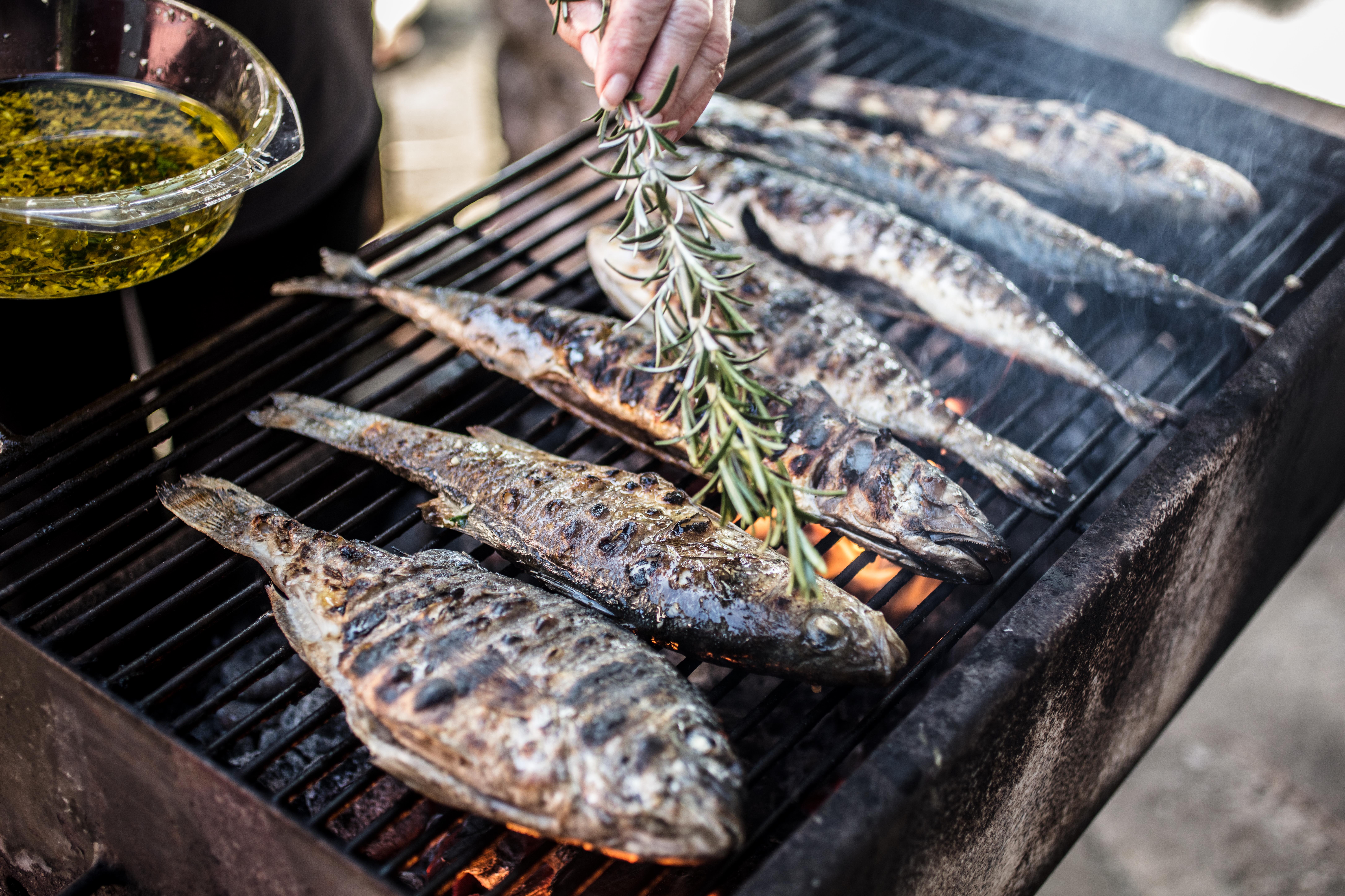 Grilled fish Maja Danica pečanić